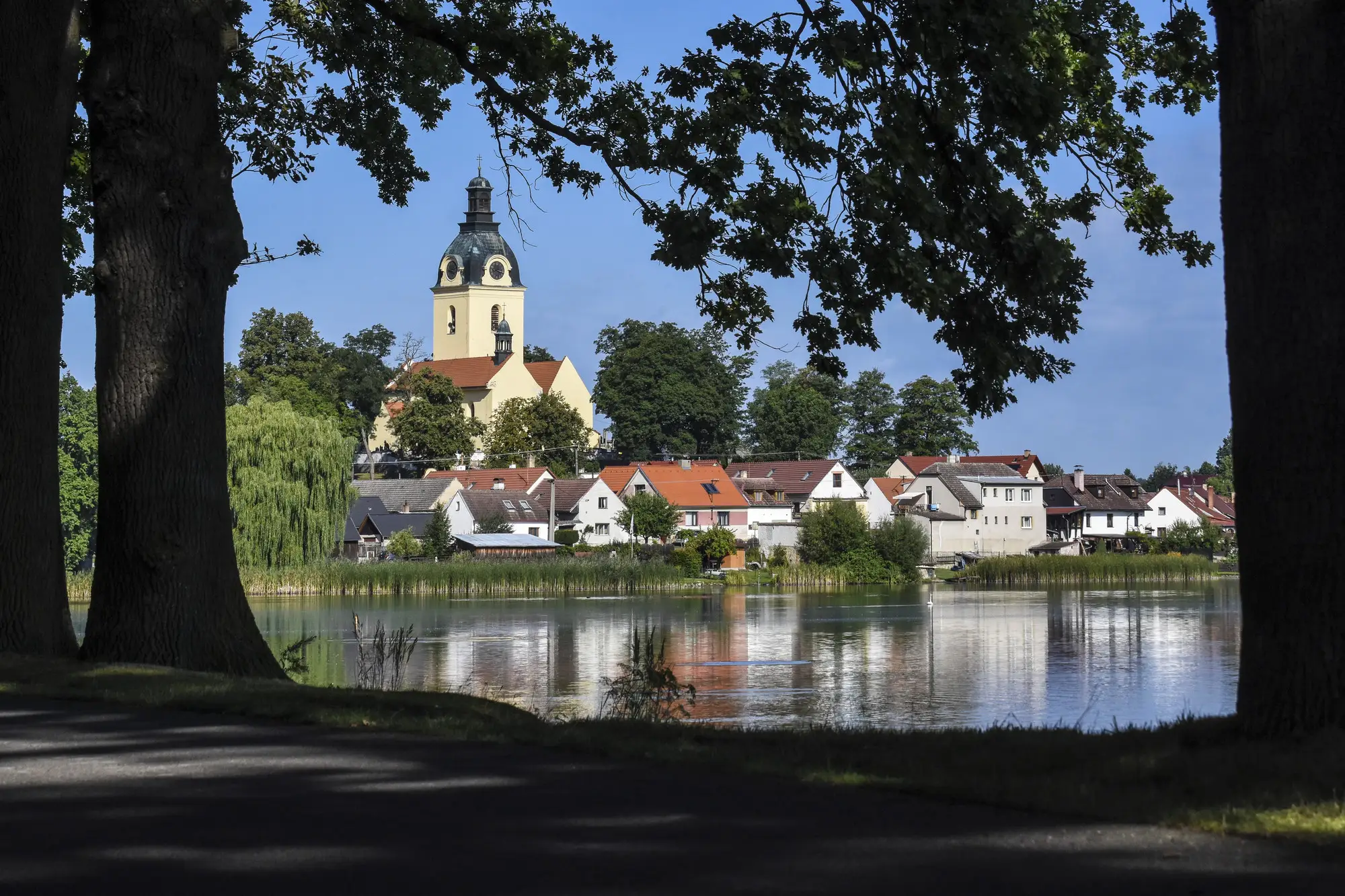 system_prefix_obrazkuPUTIM